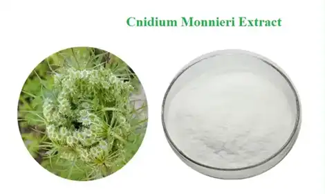 Top Benefits of Osthole Extract for Bone and Joint Health